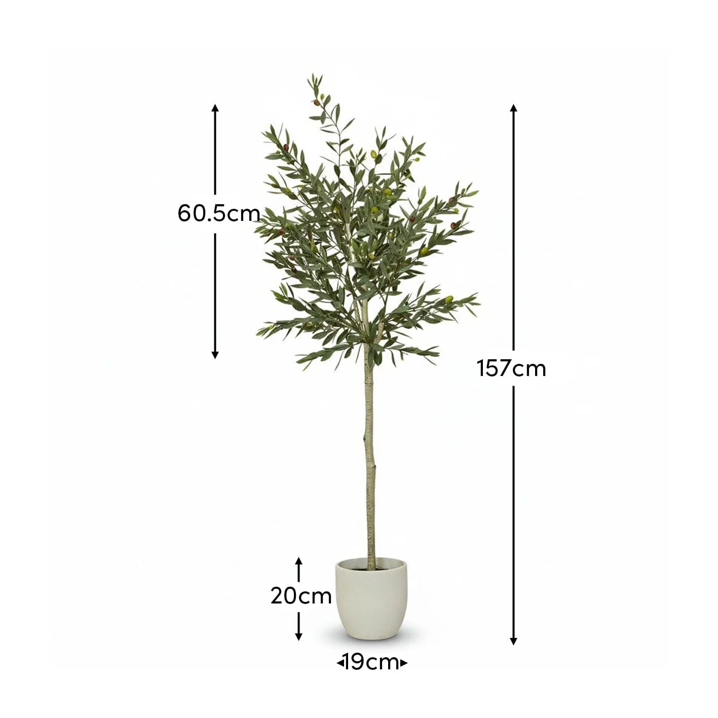 Kew Olive Tree in Cement Pot - 157cm - Image 6