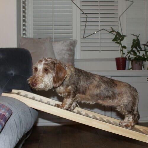 Outlet - Wooden Dog Ramp - Image 2